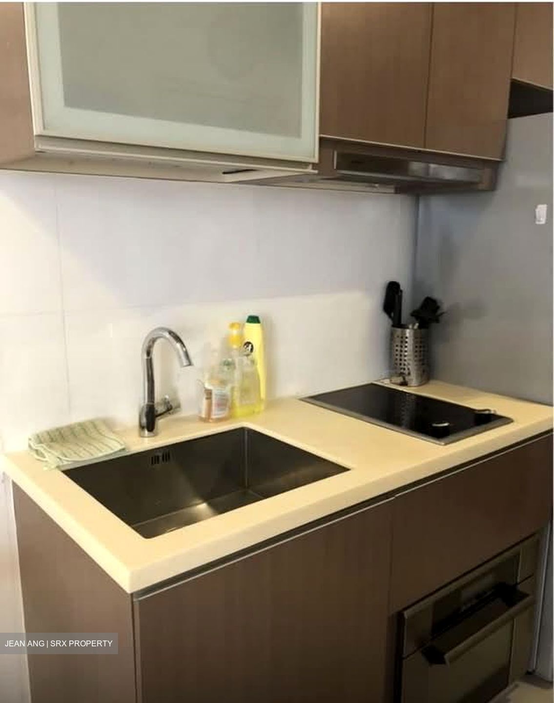 Mount Sophia Suites (D9), Apartment #527753111